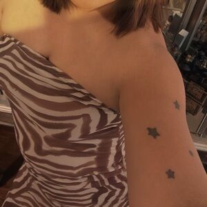 Brown Zebra Print Slip Skirt